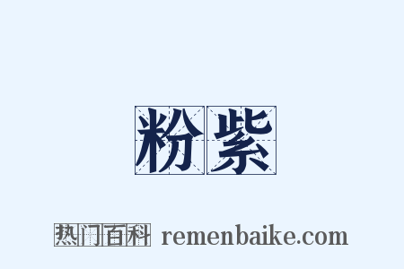 粉紫是什么意思的图片